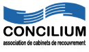 130_150______concilium-logo_49